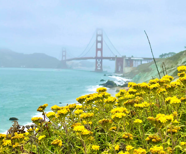 Three of the Best and Easy Hikes Around San Francisco